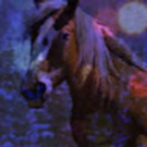 Meet your Posher, Ali alexander